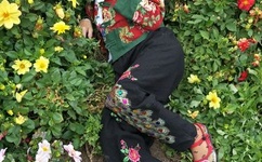 henhen撸2016最新版